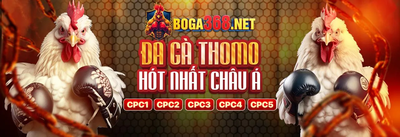 Hình ảnh chủ đề cá cược thể thao cfun68 Win với chiến lược thắng cược